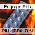 Engorge Pills viagra3